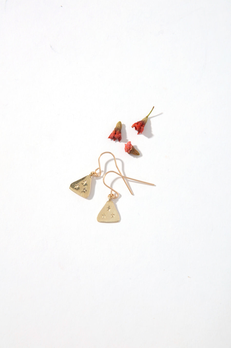 Aurora Stars Earrings