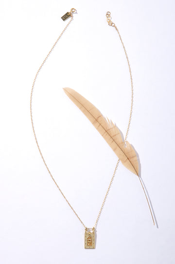 Phoenix Necklace - Frame on Chain
