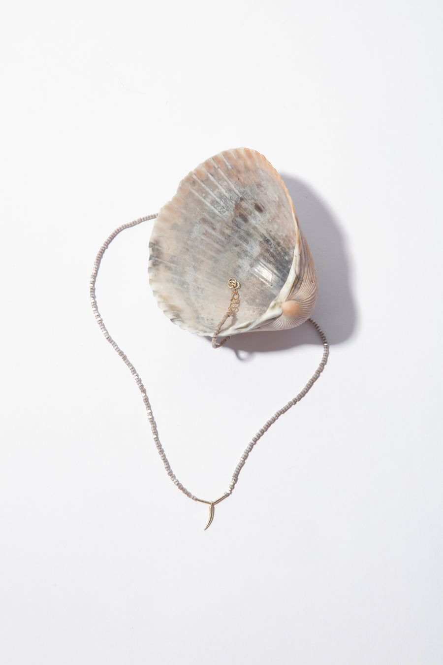 Serpent Single Claw Necklace